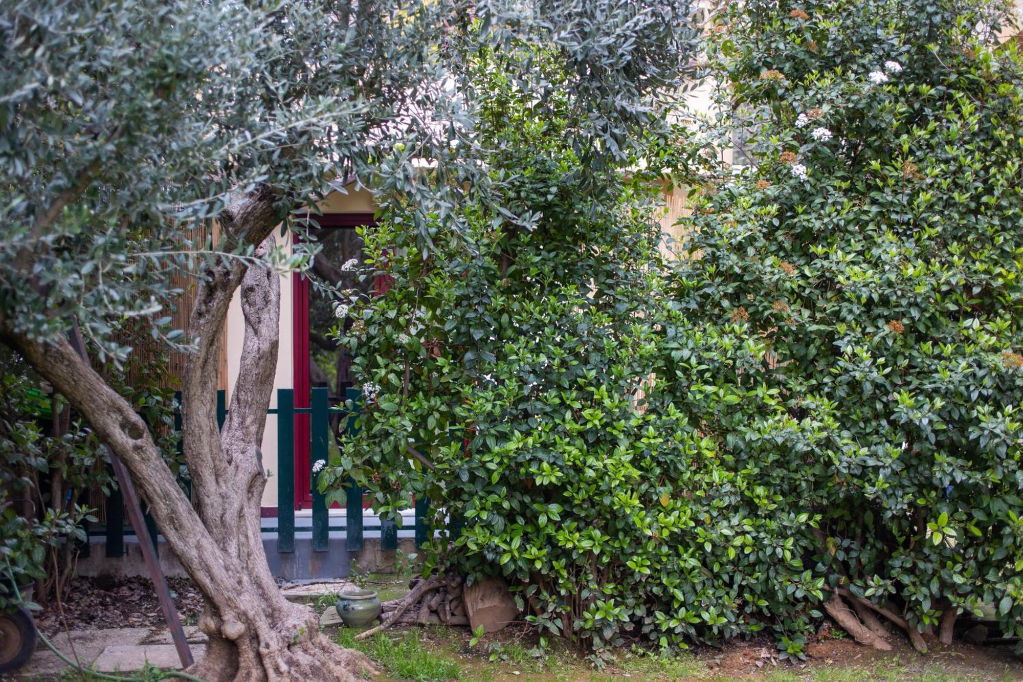 Kifissia Appartement *